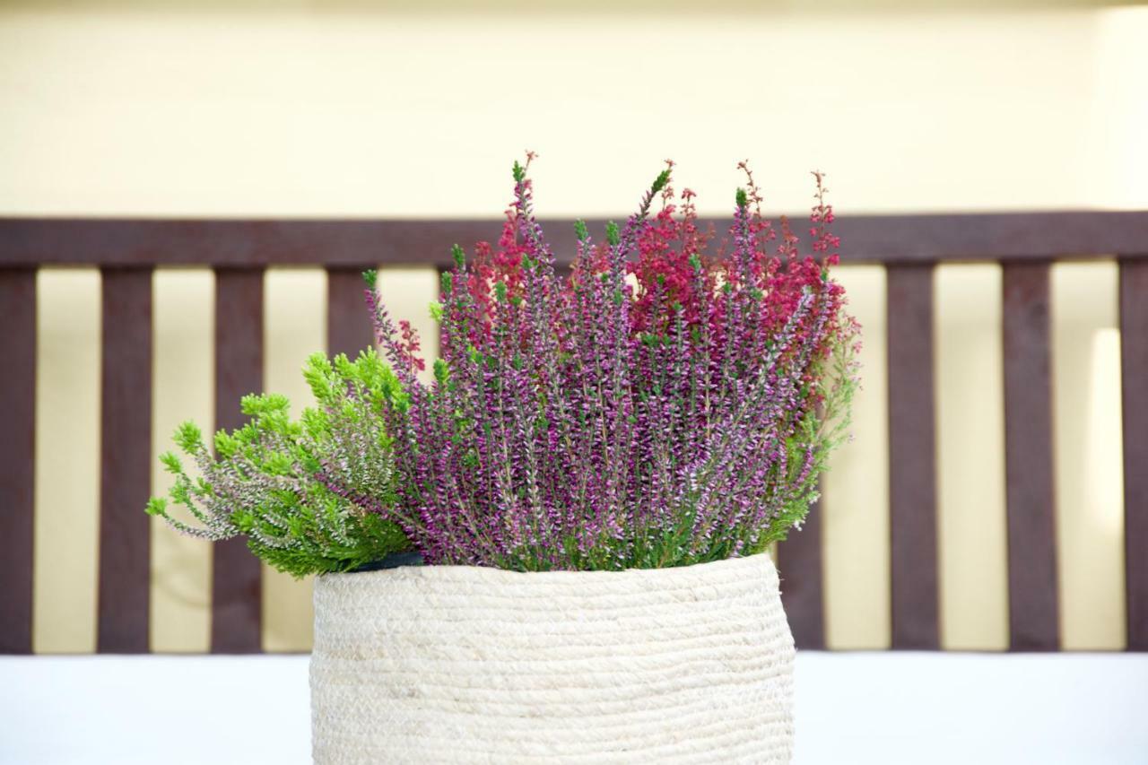 La Terrazza Di Isabel Ferienhaus *